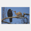 Search for dromedary stickers Funny