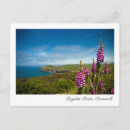 Search for cornwall postcards Europe