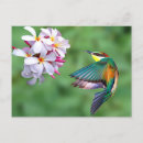 Search for eater postcards Colourful