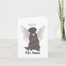 Search for chocolate lab cards Brown