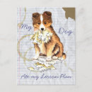 Search for shetland sheepdog postcards Miniature collie