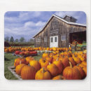 Search for vermont mousepads Scenic