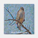 Search for red tails magnets Red tailed hawk