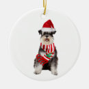 Search for schnauzer christmas tree decorations Efl