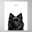 Search for schipperke posters Black