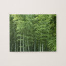 Search for bamboo puzzles Nature
