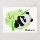 Search for cute panda postcards Bamboo