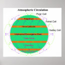 Search for circulation Diagram