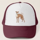 Search for greyhound hats Pet