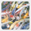 Search for up and fish stickers Horizontal