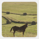 Search for hay bale stickers Field