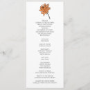 Search for chrysanthemum Minimalist