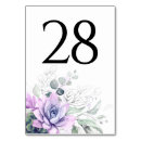 Search for succulent table cards Boho