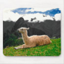 Search for grey fur mousepads Animal