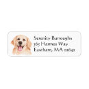 Search for golden retrievers return address labels Puppy