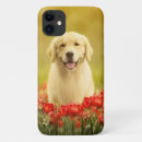 Search for golden retriever puppy iphone cases Flowers