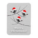 Search for snowfall magnets Xmas