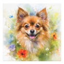 Search for pomeranian puppy posters Flowers