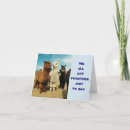 Search for group cards Co worker