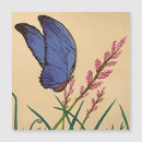 Search for flutter magnets Beautiful
