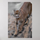 Search for climb mountains posters Nature