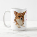 Search for long haired chihuahua mugs Chihuahuas