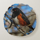 Search for russet cushions Nature
