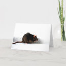 Search for white rat cards Rodent
