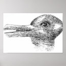 Search for visual illusions art Rabbit