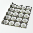 Search for dandelion wrapping paper Yellow