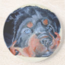 Search for rottweiler coasters Canine