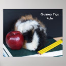 Search for guinea pig art Animal