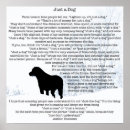Search for friend dog posters Labrador retriever