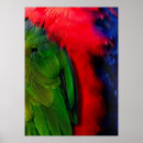 Search for red tails art Australia