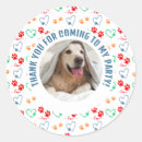 Search for dog photo stickers For dog lover