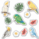 Search for wild love stickers Baby