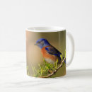 Search for bluebird coffee mugs Inspirational