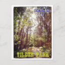 Search for wildcat cards Nature