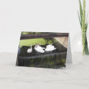 Search for green river cards Photography