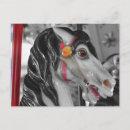 Search for save a horse postcards White