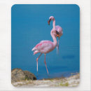 Search for water animal mousepads Avian