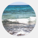 Search for costa maya stickers Tropical