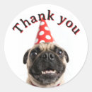 Search for pug mom stickers Funny