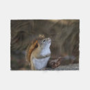 Search for red squirrel blankets Animal