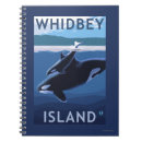 Search for orca notebooks States