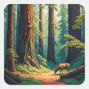 Search for redwoods national park stickers Landscape