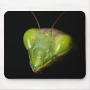 Search for praying mantis electronics Predator