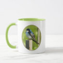 Search for swallows mugs Nature