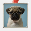 Search for pug christmas tree decorations Canine