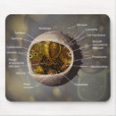 Search for cell mousepads Science